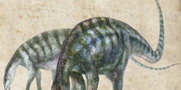 New Dinosaur the “Lingwulong shenqi” discovered in china