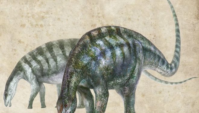 New Dinosaur the “Lingwulong shenqi” discovered in china